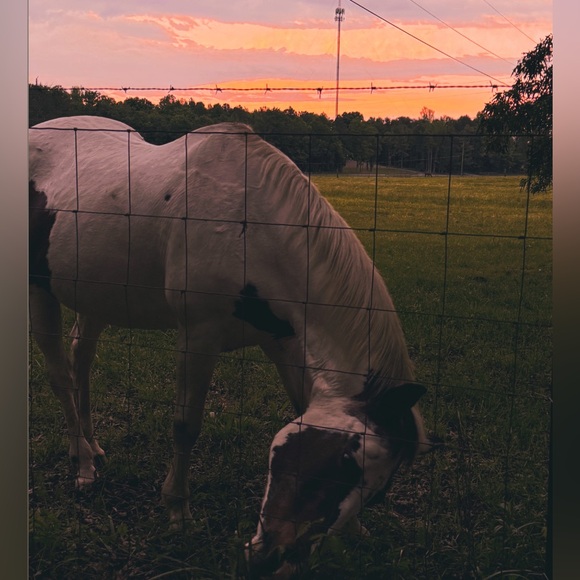 •hello• - Picture 3 of 7